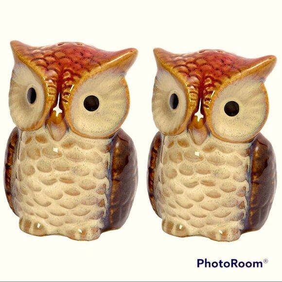 Owl Salt and Pepper Shakers Hand Painted Ceramic Rustic Farmhouse Decorative Set - Picture 2 of 14